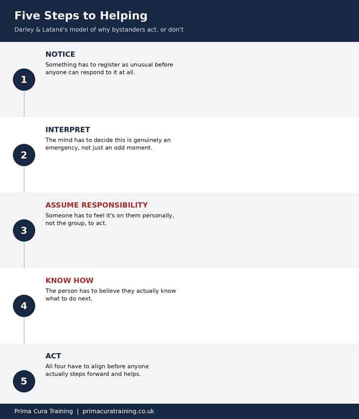 A five-step diagram showing Darley and Latané's model of bystander helping: Notice, Interpret, Assume Responsibility, Know How, and Act.
