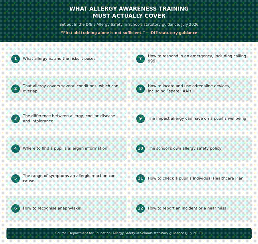 Infographic listing the twelve things the DfE's Allergy Safety in Schools guidance says allergy awareness training must cover, including recognising anaphylaxis, understanding the difference between allergy, coeliac disease and intolerance, and using adrenaline devices, noting that first aid training alone is not sufficient.