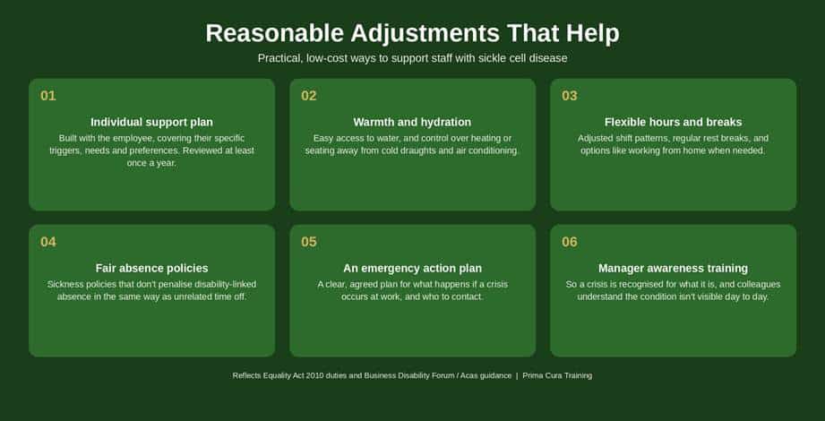 Infographic showing six reasonable adjustments employers can make for staff with sickle cell disease: an individual support plan, easy access to warmth and hydration, flexible hours and breaks, fair sickness absence policies, an emergency action plan, and manager awareness training.