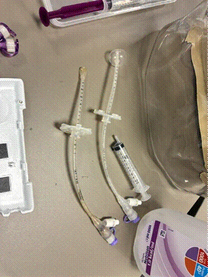 Two gastrostomy tubes and an enteral syringe laid out on the table at a Prima Cura Training PEG course, showing the external fixation plates, centimetre markings and feeding ports.