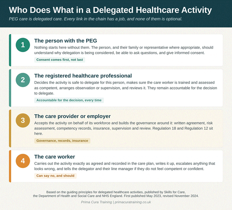 Infographic showing the four roles in a delegated healthcare activity for PEG care: the person with the PEG gives informed consent, the registered healthcare professional delegates and stays accountable for that decision, the care provider holds the governance and records, and the care worker carries out the task and can decline if not competent or confident.